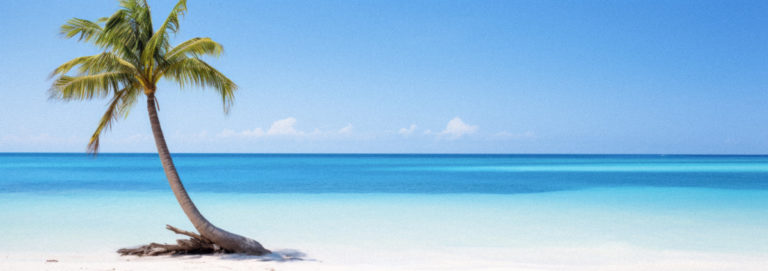 Tropical Paradise Serenity