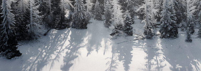 Frostbound