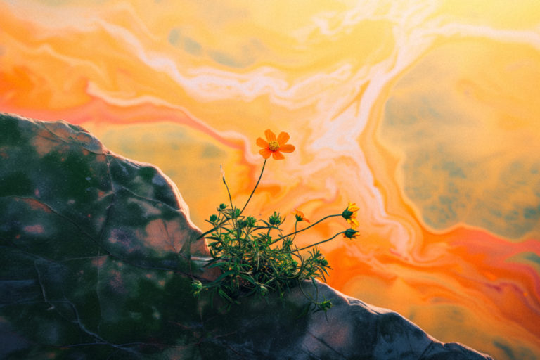 Against the Edge