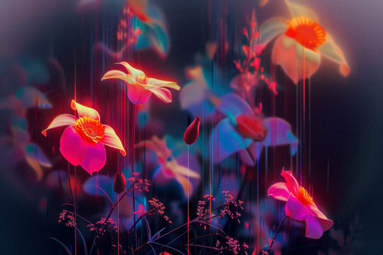 Flowers of Light