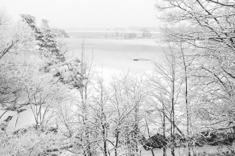 Snow-Covered Trees and Sailboat in the Off-Season