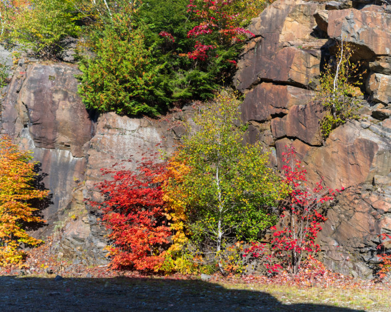 Vibrant Autumn Colors Against Rocky Cliff