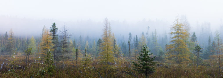 Between Seasons Forever in Time