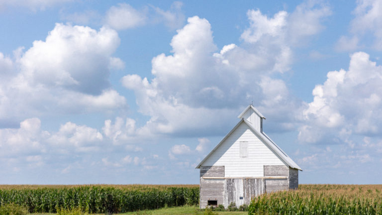 Isolated Barn with Expansive Clouds in a Cornfield