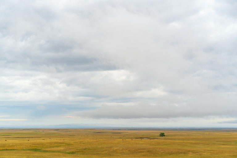 Vast Prairie Landscape Under Expansive Clouds