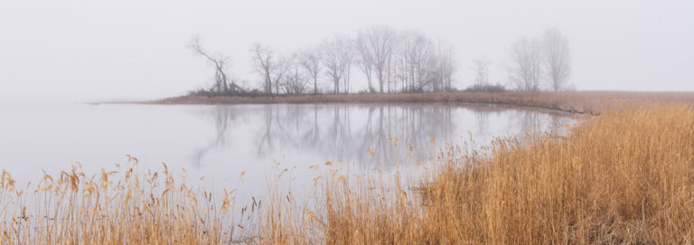 Foggy River Reflections in the 1000 Islands