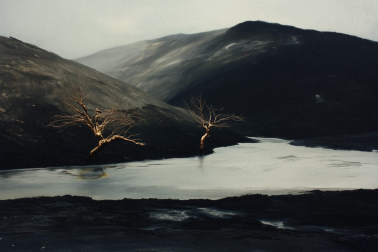 Surreal Volcanic Landscape with Barren Trees
