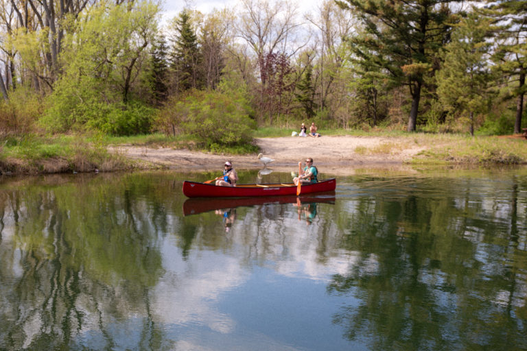 Canoe Ride on a Serene Forest Pond