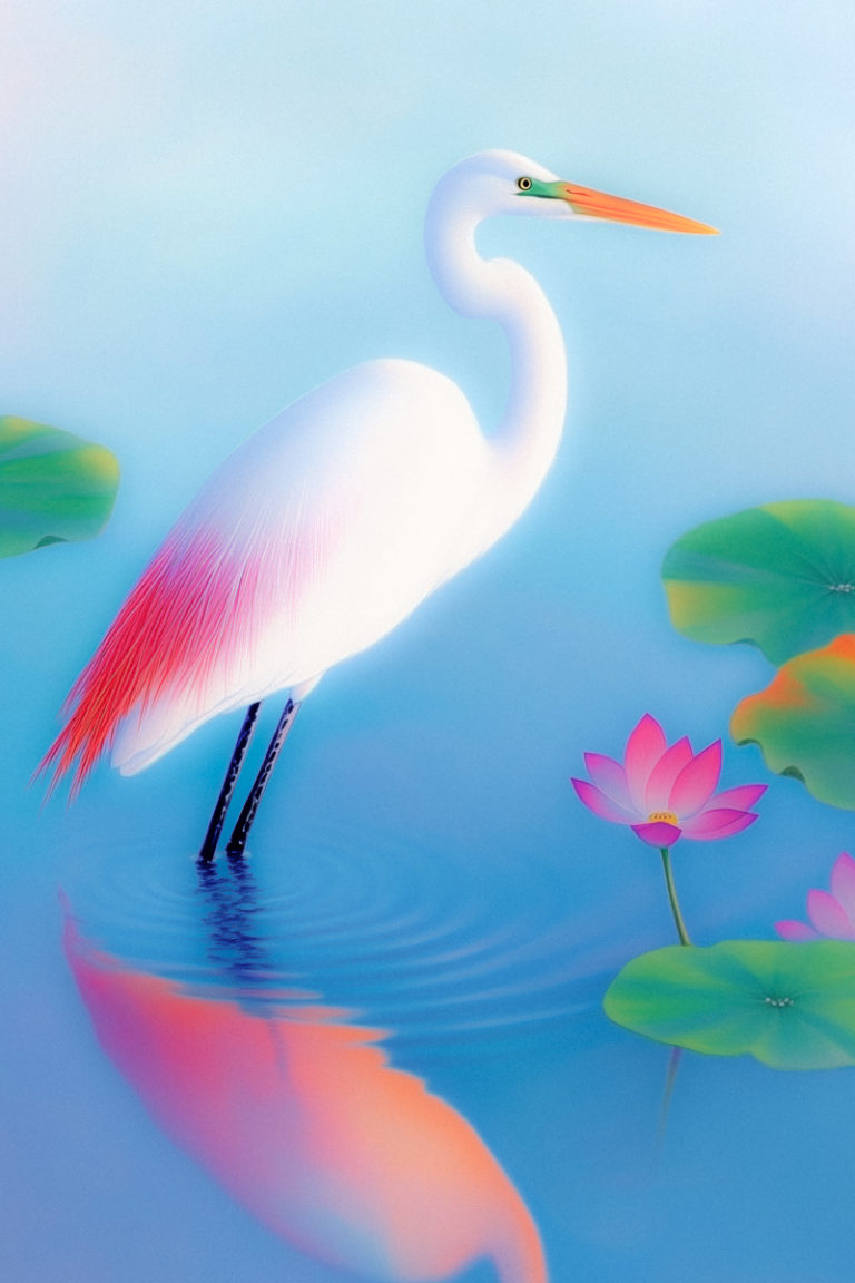 Bird Reflected in Still Pond Beside Pink Lotus
