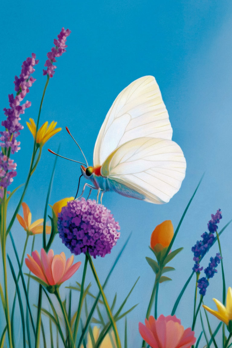 White Butterfly on Wildflower Bloom