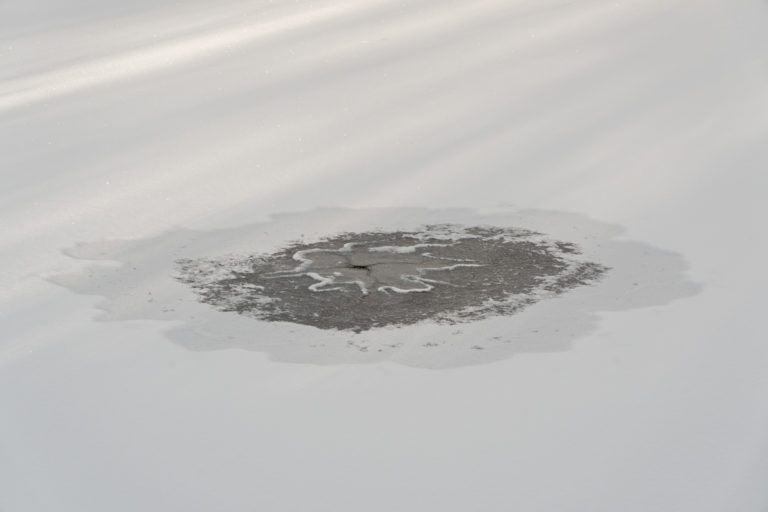 Melt Patch on Snowy Trail