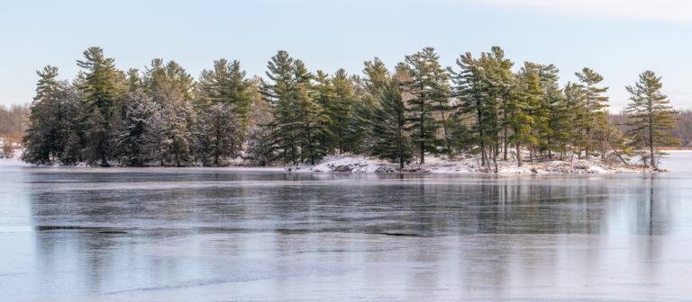 Snow-Dusted Island on Sydenham Lake in Winter