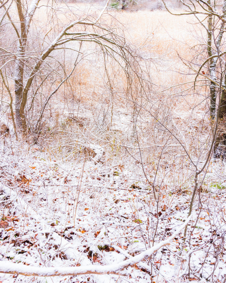 First Snowfall Over Forgotten Ground