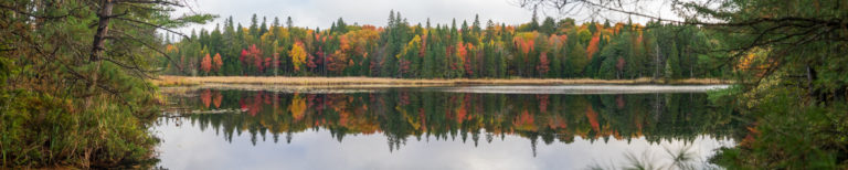 Algonquin Park Autumn Reflection Panorama