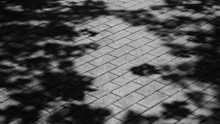 Shadows Across a Brick Path