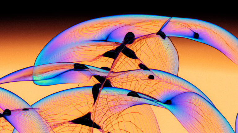Where Wonder Lives in the Body
