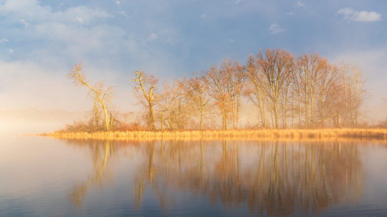 Fog and Reflections on the Saint Lawrence River