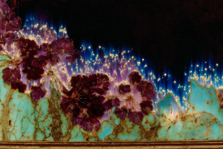 Electric Florals Against a Velvet Sky