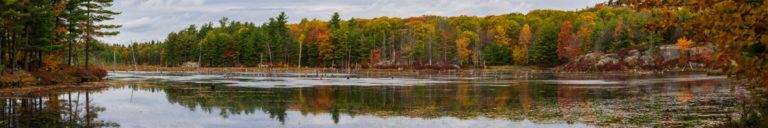 Colorful Forest Reflections Near Blue Mountain
