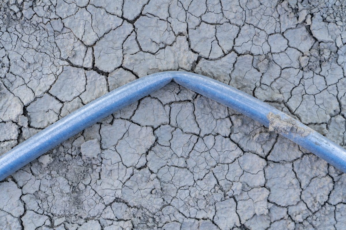 Bent Pole and Playa Surface