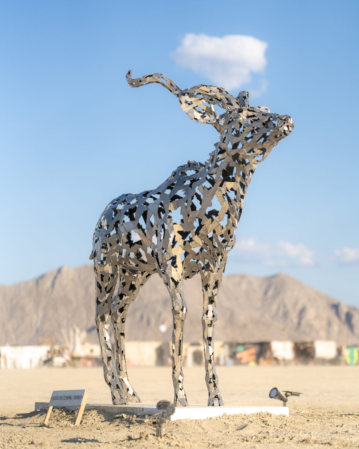 The Kudu by David Davis