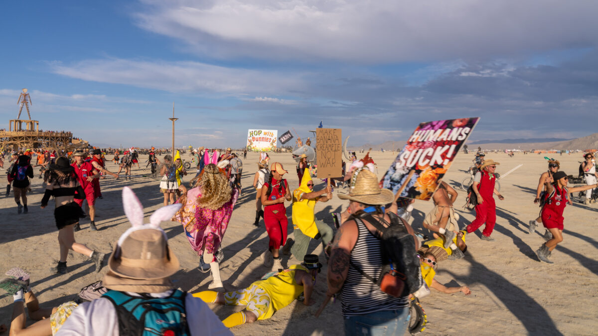 Billion Bunny March to Protest Humanity!