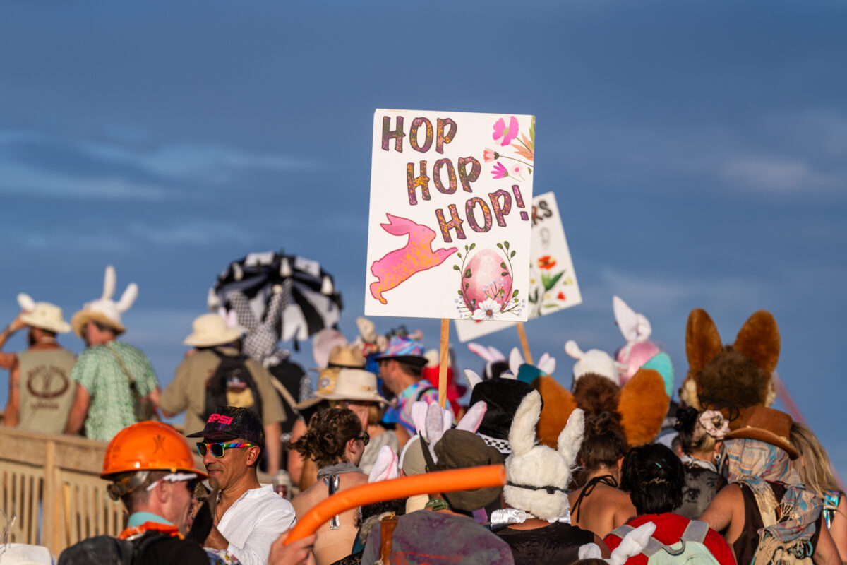 Billion Bunny March to Protest Humanity!