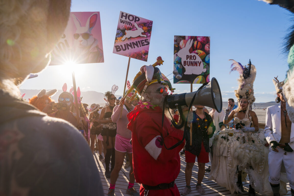 Billion Bunny March to Protest Humanity!