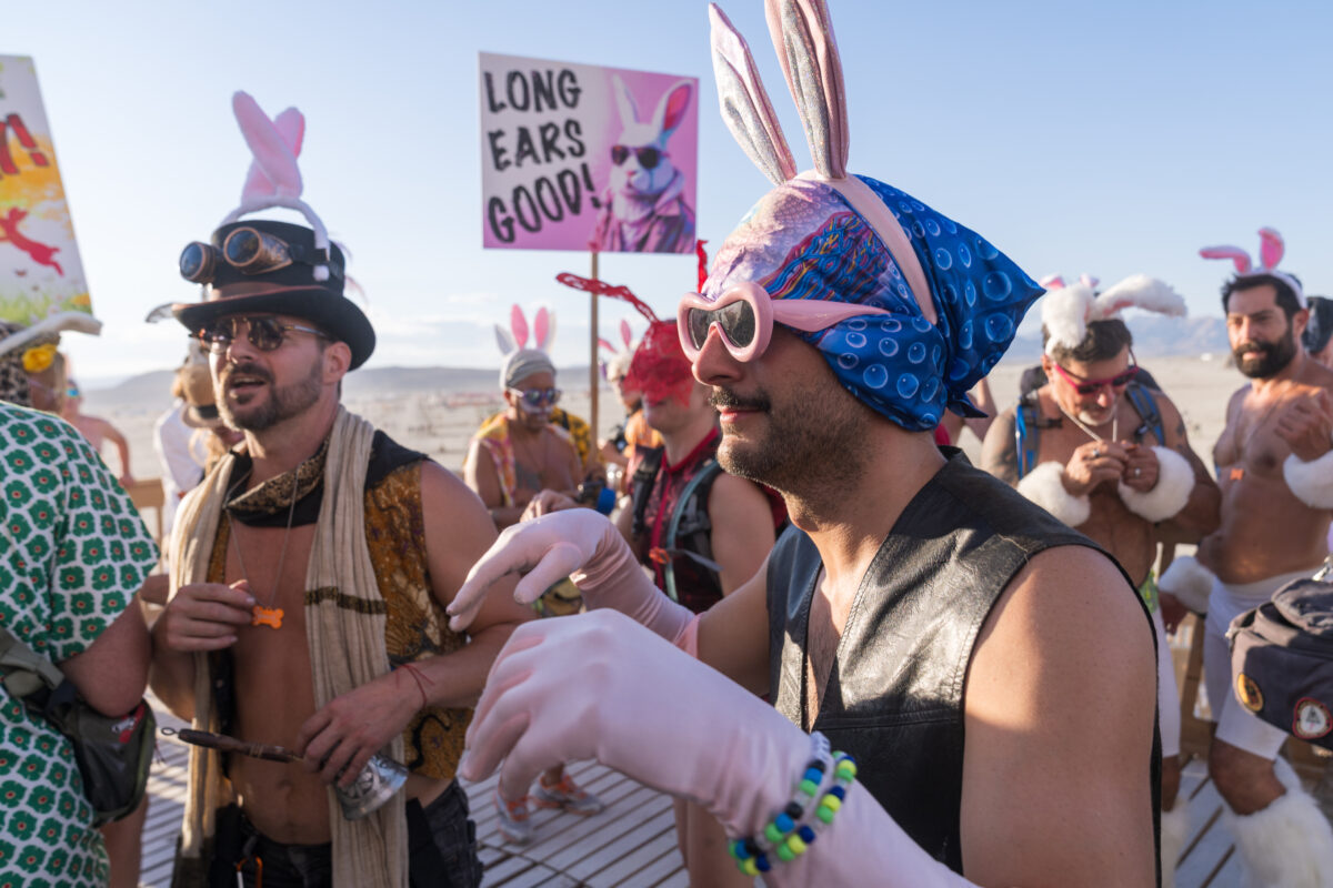 Billion Bunny March to Protest Humanity!