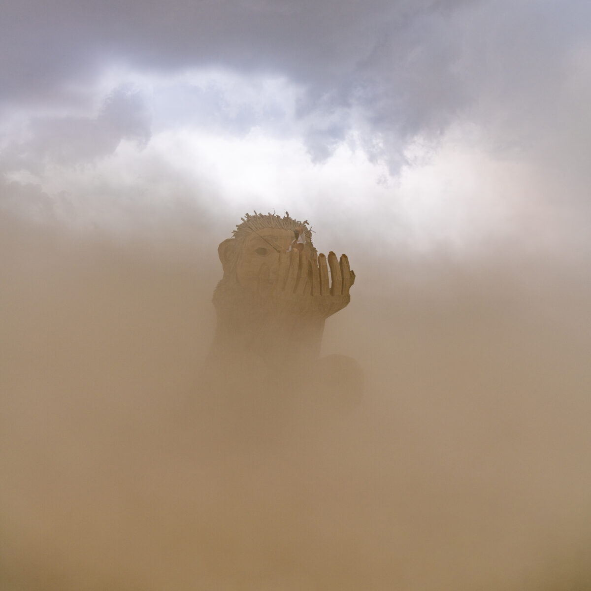 Rose Wonders by Thomas Dambo