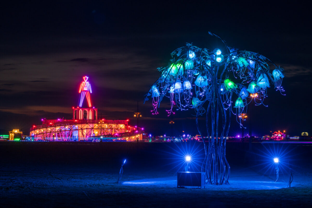 The Man and Aquatica by Anna Gribovsky