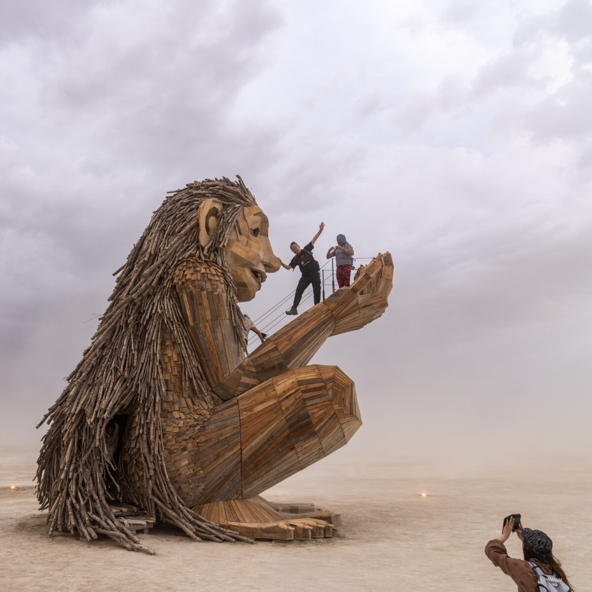 Rose Wonders by Thomas Dambo