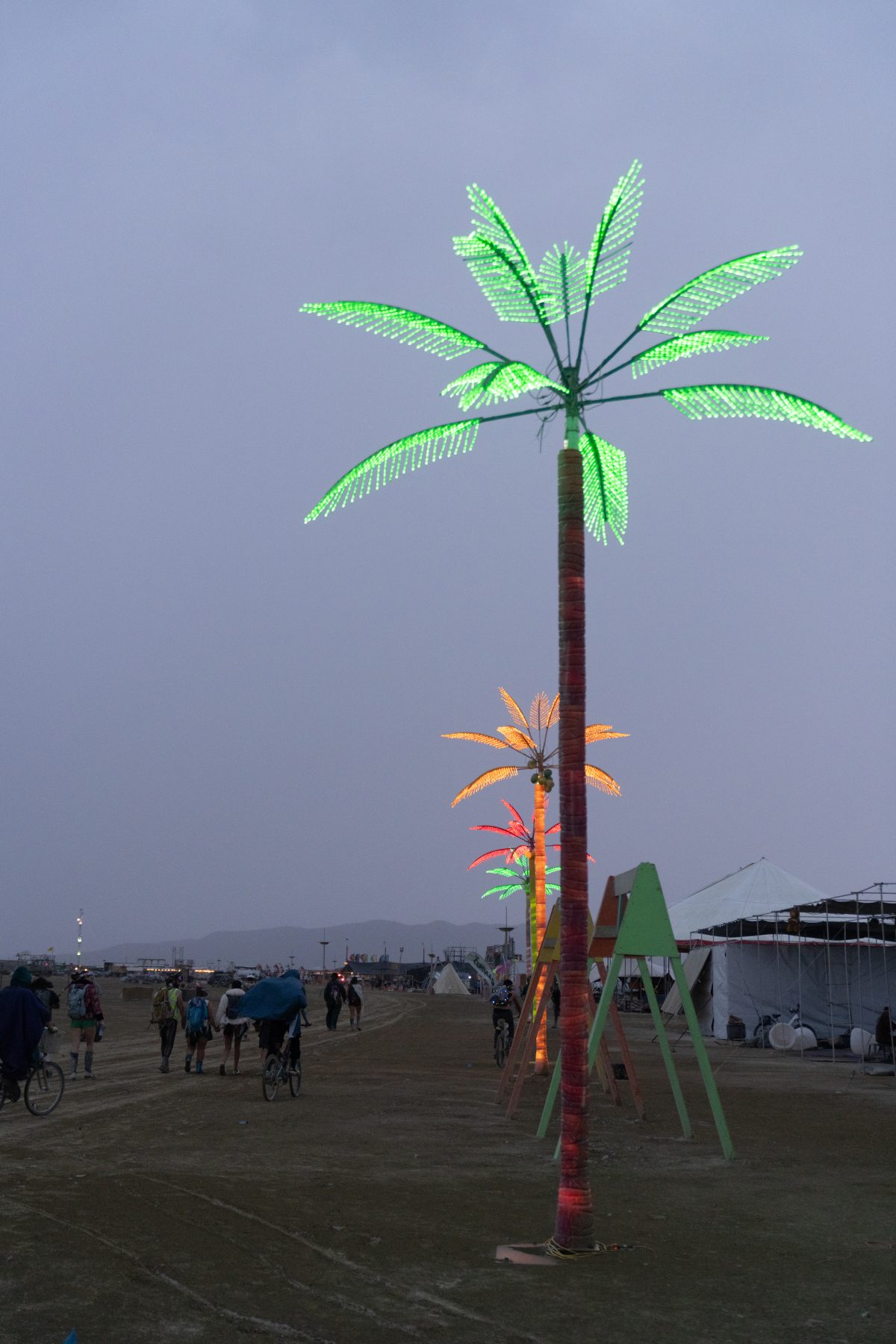 Palm Trees