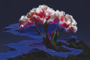 Cybernetic Flowers on Geometric Steps