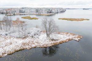 First Snow Over Thousand Islands Wetlands