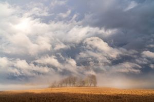 Mist Lifting from the Marsh