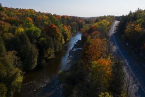 Winding Autumn River Road