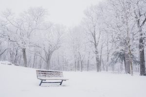 Winter Solitude