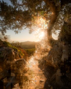Fragmented Golden Hour