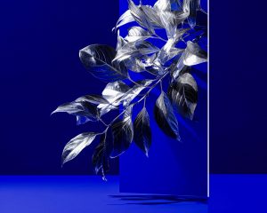 Chrome Leaves on Electric Blue