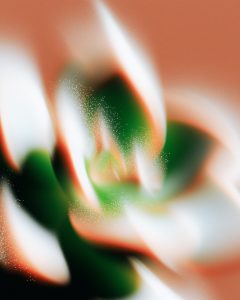 Ethereal Botanical Abstract