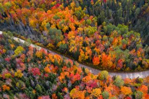 Autumn Ribbon Road