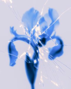 Through the Fracture