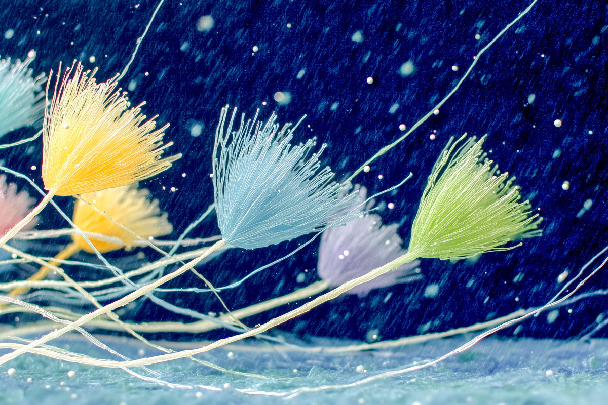 Whispers in Winter Air