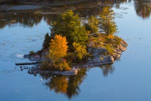Golden Hen Island