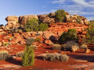 Red Rock Sanctuary