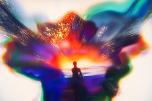 The Witness