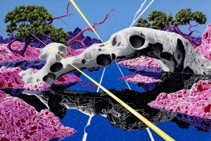 Bones of a Borrowed Sky