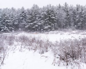 Snowfall Over Winter Field