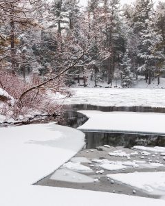 Smugglers Cove in Winter